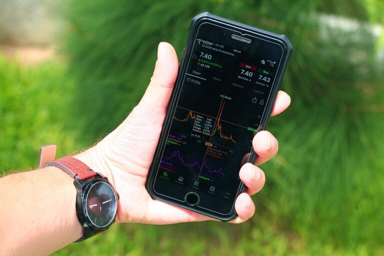 The Best Investment Strategies for a Bear Market